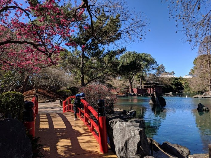 Auburn Botanic Gardens , Australia